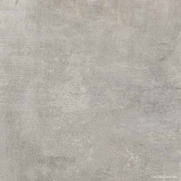 Cult Grey Ret |81x81