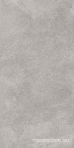 Керамический гранит  Kerama Marazzi Про Стоун DD500220R Про стоун серый обрезной60х119.5 Серый 