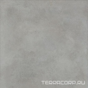Керамогранит Ceramica Rubiera Emotion  Gris Rett KL 60x60 Серый 