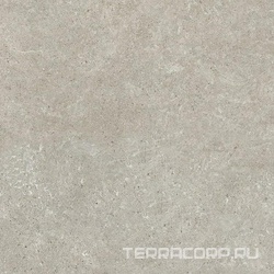 Astoria Gris Mat Rec ZZ |59x59