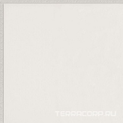 Flexi 2 White Bri (п.п.) ZZ |30x30