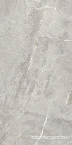 Керамогранит ProGRES Ceramica Модерн  серый матовый  60х120 Серый 