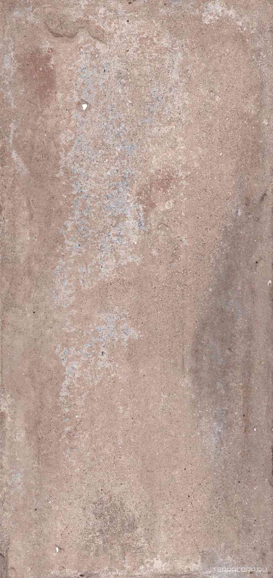 Bristol Rust XX |17x34