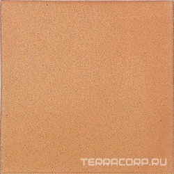 Bases Natural  ZZ|19,3x19,3