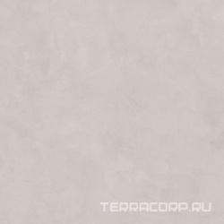 Город на воде серый обрезнойZZ|50.2x50.2
