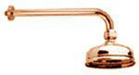 Душ верхний, стационарный, лейка d 15см, настенный монтаж, (кронштейн 30см, декор чашка в компл.), (цв.бронза) ZZ 3M Okay 499 UU