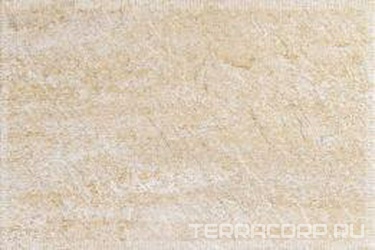 Ain Jet Sage XX |33.3x50