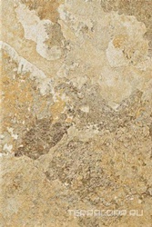 Kalahari 46B ХХ |40x60