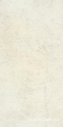 Stone ivory XX |30х60