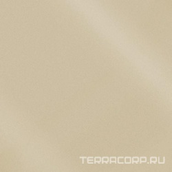 Monocolor CF 100 Аворио PR полир.XX 60x60