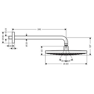 Верхний душ, лейка d300мм, cо стеновым кронштейном 390мм, 2 типа струи Rain и RainAir, (цв. хром),  ZZ Hansgrohe Raindance Select S 27378000