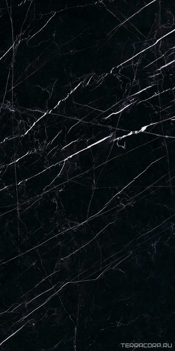 Керамогранит Ariostea Marmi Classici Nero Marquinia Lev Silk 60x120 Черный, фото 5