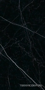 Керамогранит Ariostea Marmi Classici Nero Marquinia Lev Silk 60x120 Черный 