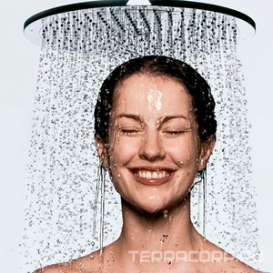 Верхний душ  AIR d=300 мм, c потолочным держателем для верхнего душа 100 мм,  ZZ Hansgrohe Raindance 27494000