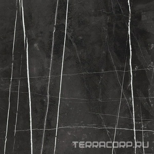Керамогранит La Faenza Trex3 Trex 60N RM (п.п.) 60x60 Черный 