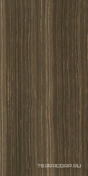 Eramosa Brown Luc Shiny 6 mm XX |150х300
