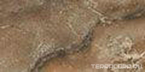 Wild Walnut 714 XX |7.3x14.6