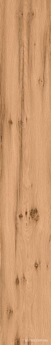 Керамогранит Gardenia Orchidea Just Venice Rovere Chiaro Nat 26.5x180 Коричневый, фото 5