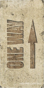 Керамогранит CIR New York Road Signs Mix Broadway  10x20 Коричневый 