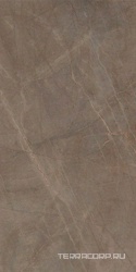 Pulpis Brown Lucidato (Shiny) 6 mm XX | 150x300