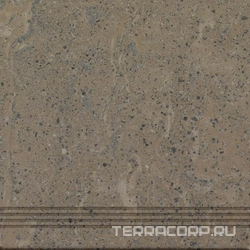 Ступень проходная Trend 02 непол. (48926,59586)ZZ |40x40
