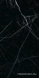 Керамогранит Ariostea Marmi Classici Nero Marquinia Luc  60x120 Черный 