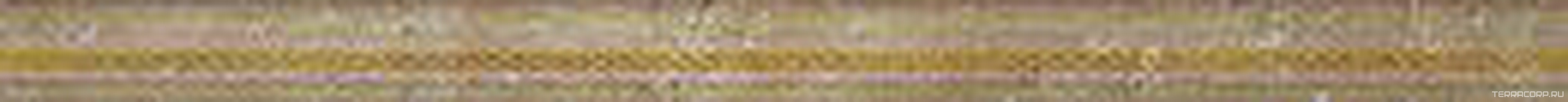 Moldura Alteza Natural Gold XX |4x50