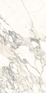 Керамогранит Ariostea Marmi Classici Arabescato Classico Soft 60x120 Белый 