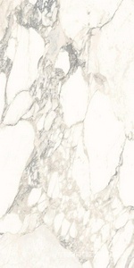 Керамогранит Ariostea Marmi Classici Arabescato Classico Soft 60x120 Белый 