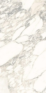 Керамогранит Ariostea Marmi Classici Arabescato Classico Soft 60x120 Белый 