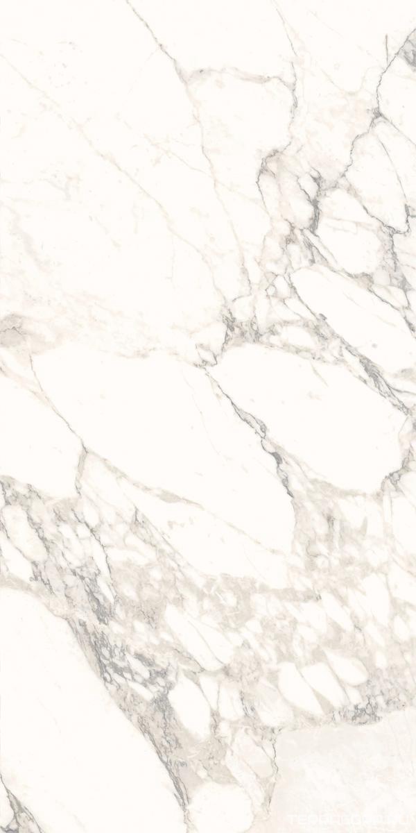 Керамогранит Ariostea Marmi Classici Arabescato Classico Soft 60x120 Белый, фото 7
