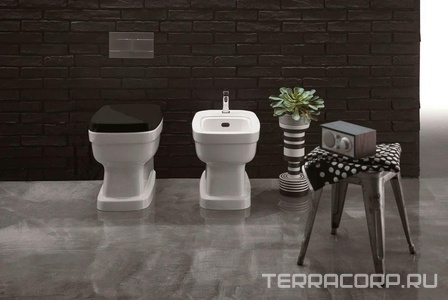 Унитаз пристенный 54х37хh41,5см, установка со скрытым бачком смыва, без сиденья, и креплен.к полу, (цв. белый)  ZZ Simas Evolution EVO01