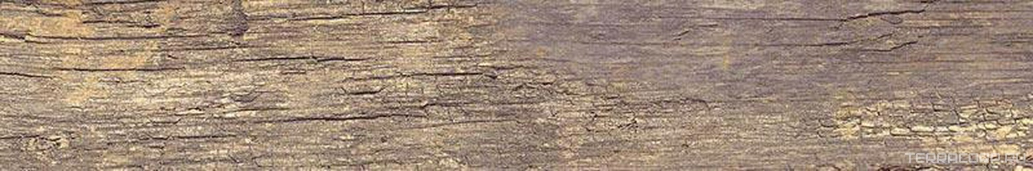 Century Noce RT XX |20x120