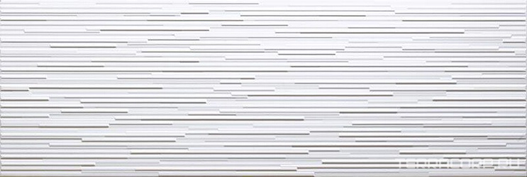 Cosmos Blanco Rett XX|30x90