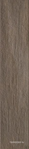 Керамогранит Sadon GreenWood  Greige Strong ZZ24x120 Коричневый 