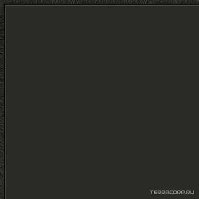 Flexi 2 Black Bri (п.п.) ZZ |30x30