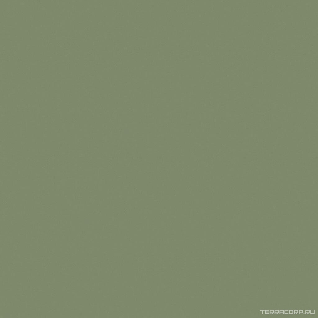 Керамогранит Estima Rainbow RW06 зелёный неполир. ZZ60x60 Зеленый, фото 4