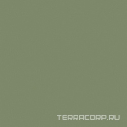 Rainbow RW06 зелёный неполир. ZZ60x60