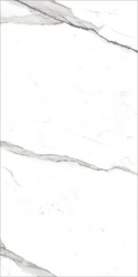 Roma Statuario Lux RT XX |75x150