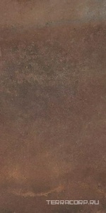 Керамогранит La Faenza CottoFaenza Cottofaenza36CT (п.п) 30x60 Коричневый 