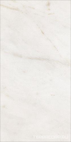 Керамогранит REX I bianchi di Rex Sorrento lucido 60x120 Белый, фото 3