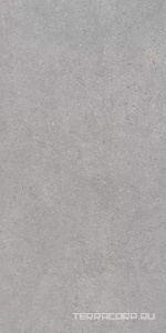 Керамогранит Kerama Marazzi Фондамента  серый светлый обрезной60х119.5 Серый 