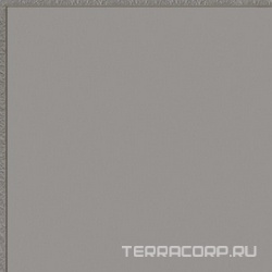 Flexi 2 Grey Mat (п.п.) ZZ |30x30