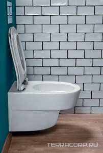 Унитаз подвесной  Rive Gauche, безободковый, БЕЗ крышки Jacob Delafon Odeon EDR102-00