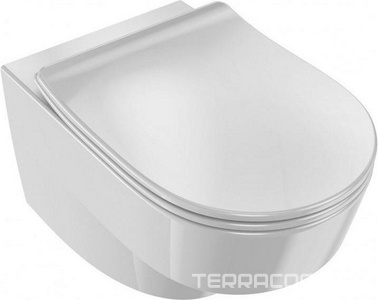 Унитаз подвесной  Rive Gauche, безободковый, БЕЗ крышки Jacob Delafon Odeon EDR102-00