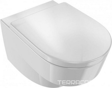 Унитаз подвесной  Rive Gauche, безободковый, БЕЗ крышки Jacob Delafon Odeon EDR102-00