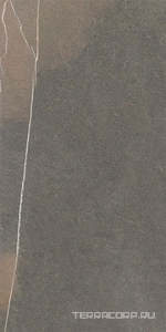 Керамогранит Ariostea Pietre Naturali Pietra Piasentina sat. 30x60 Серый 