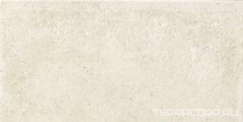 Shabby Chic XX |10x20