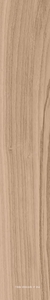 Керамогранит Kerama Marazzi Селект Вуд  беж9.6x60 Бежевый 