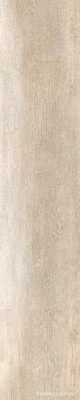 GreenWood Beige|24x120